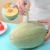 Stainless steel watermelon baller and carving knife, designed for effortlessly scooping and carving watermelon.