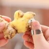Stainless Steel Ginger Grater Set for finely grating fresh ginger and spices