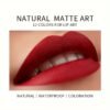 12 colors misty matte lipstick, moisturizing lip gloss with easy-to-apply color rendering, rotating lipstick pen for smooth lip makeup.