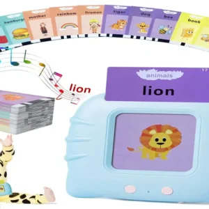 Learning Toy