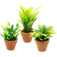 pots